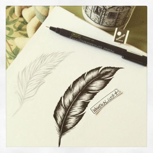 Sketching feathers...
